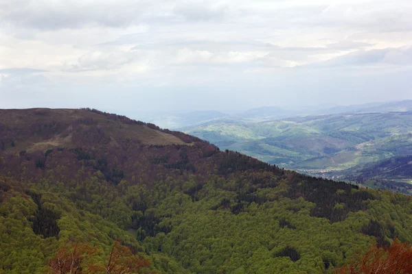Peyzaj ağaçları ile büyük bir yeşil dağ — Stok fotoğraf