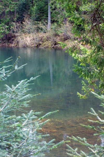 Lago Synevyr — Foto de Stock