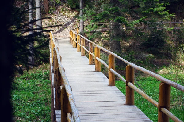 Wooden bridge fenced by a fence in a pine forest — Stock Photo, Image