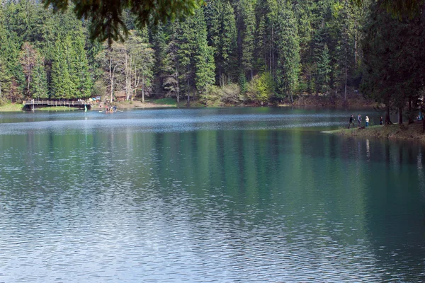 Blue lake Synevyr — Stock Photo, Image