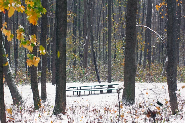 Первый снег в осеннем парке покрыл скамейку — стоковое фото