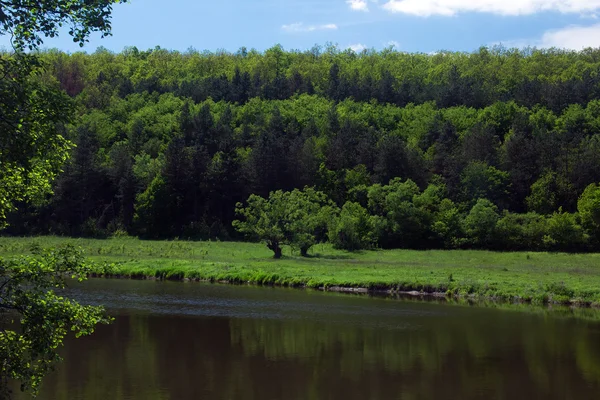 Krajobraz drzew, górami, zieloną dolinę rzeki i niebo — Zdjęcie stockowe