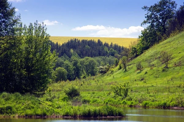 Landskap med en flod, gröna gräsbevuxna kullar med träd och himmel — Stockfoto