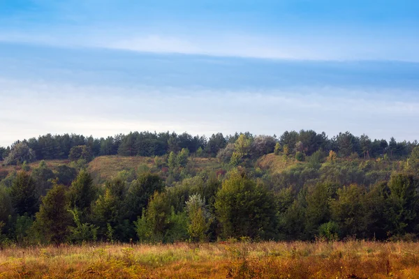 Bir dağ Vadisi, yeşil orman manzara ve mavi şerit — Stok fotoğraf