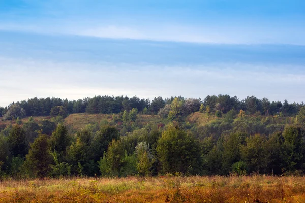 Tallandschaft, grüner Wald auf Bergen und blauer Streifen — Stockfoto