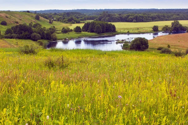 Landscape of the yellow field, river, forest and sky — Stock Photo, Image