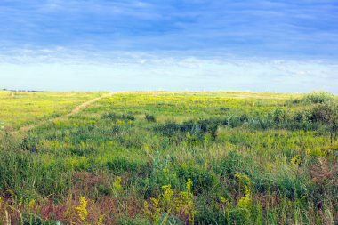 yeşil-sarı çimenli Vadisi ve mavi Clear sky