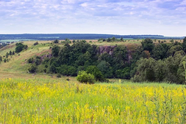 Landscape of grassy yellow valley, hills with trees and cloudy — Stock Photo, Image