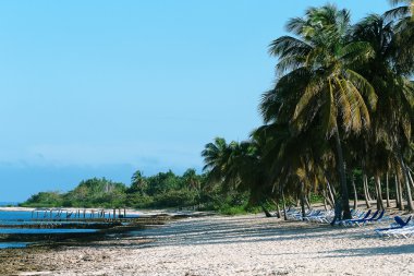 Cennet plaj Karayipler