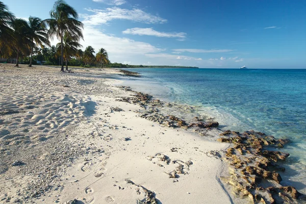 Paradiesstrand in der Karibik — Stockfoto