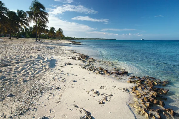 Tropischer Strand mit Palmen und weißem Sand — Stockfoto