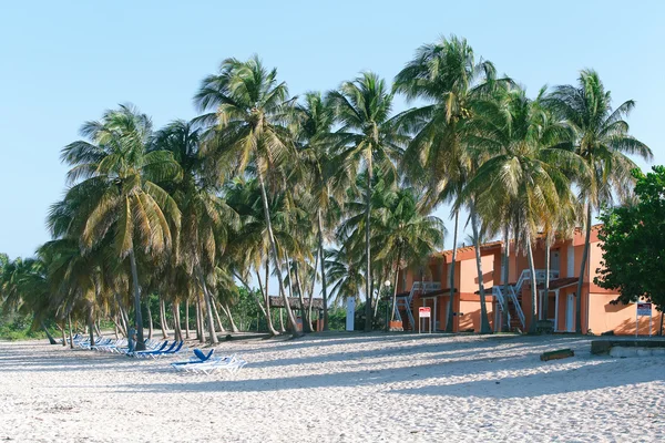 Tropischer Strand mit Palmen und weißem Sand — Stockfoto