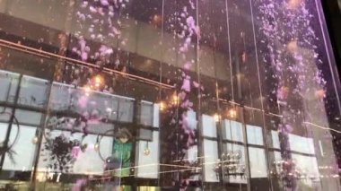 Dahi dekorasyonu: Restorandaki cam su duvarında mor kabarcıklar yükseliyor