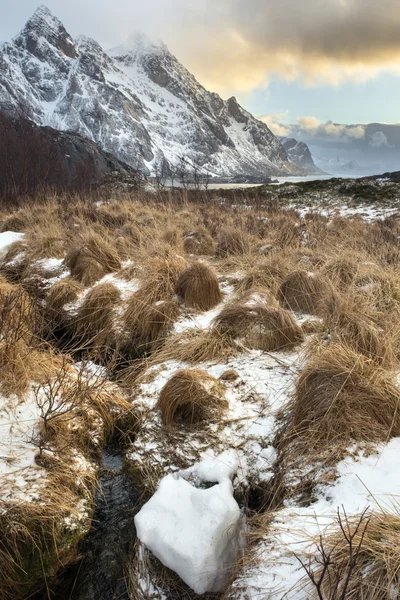 Paisagem mística noturna nas ilhas Lofoten — Fotografia de Stock