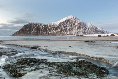 Kışın Skagsanden sahilde Lofoten Adaları