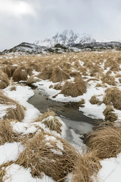 Paisagem de inverno nas ilhas Lofoten , — Fotografia de Stock