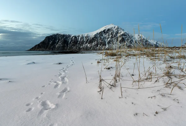 Skagsanden-Strand im Winter auf den Lofoten — Stockfoto