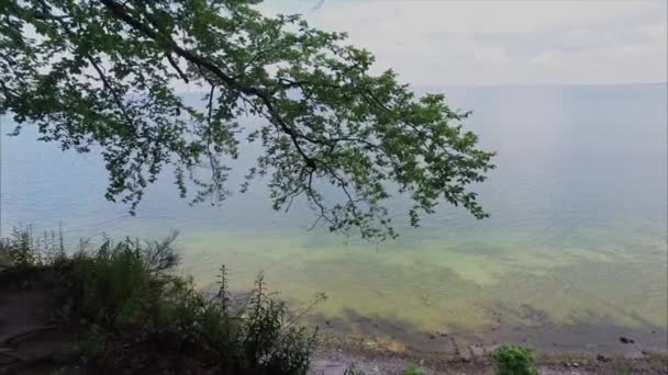 Балтійське море, Скеля — стокове відео