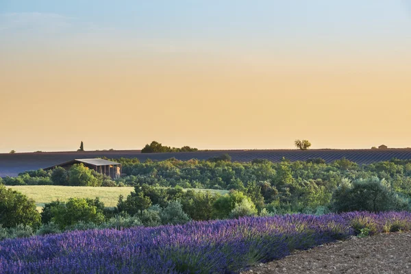 Provence manzara Fransa — Stok fotoğraf