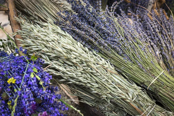 Bando de flores de lavanda em uma loja de lavanda — Fotografia de Stock