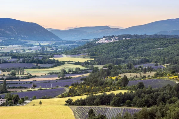 Provence landschap bij zonsondergang — Stockfoto