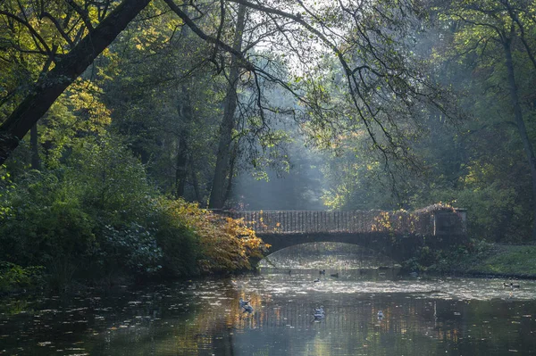 Parco Reale Lazienki Varsavia Veduta Piccolo Ponte Sul Lago — Foto Stock