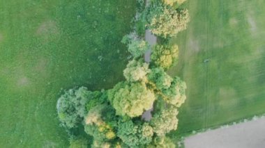 Polonya 'nın kuzeyindeki Mazurian kırsalındaki yeşil ağaçlar ve göl havadan görünüyor. 