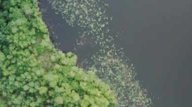 Polonya 'nın kuzeyindeki Mazurian kırsalındaki yeşil ağaçlar ve göl havadan görünüyor. 