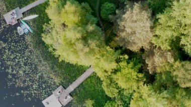 Polonya 'nın kuzeyindeki Mazurian kırsalındaki yeşil ağaçlar ve göl havadan görünüyor. 