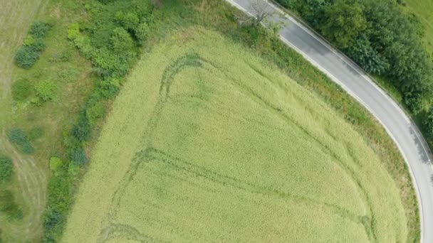 Imagem Drone Cima Para Baixo Estrada Curva Área Warmia Polônia — Vídeo de Stock