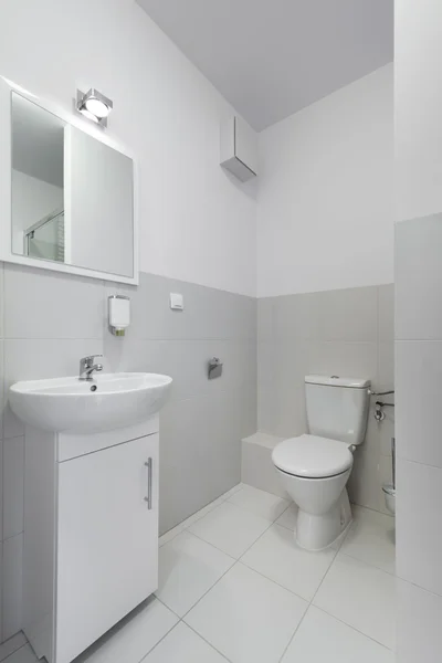 Diseño de baño interior pequeño y compacto —  Fotos de Stock