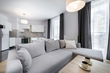 İskandinav tarzı modern iç tasarım oturma odasında