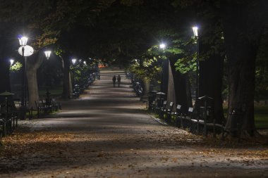 gece boyunca Planty park Krakow, Polonya