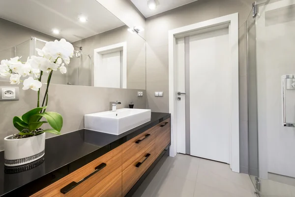 Baño de lujo moderno — Foto de Stock