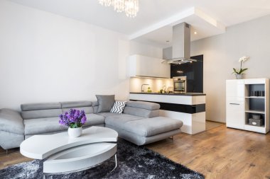 Luxurry oturma odası ile mutfak alanı
