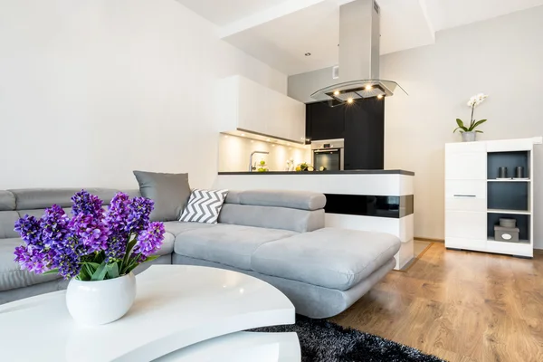 Moderne open ruimte leven — Stockfoto