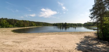 Ormandaki küçük göl