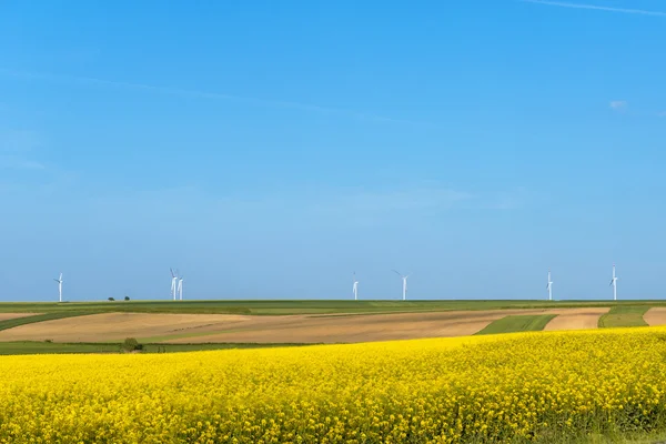 Ren energi under våren — Stockfoto