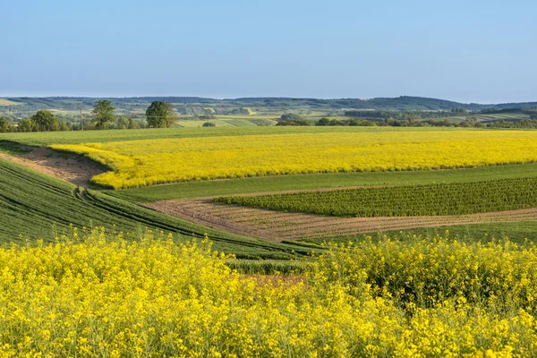 Pools platteland landschap — Stockfoto
