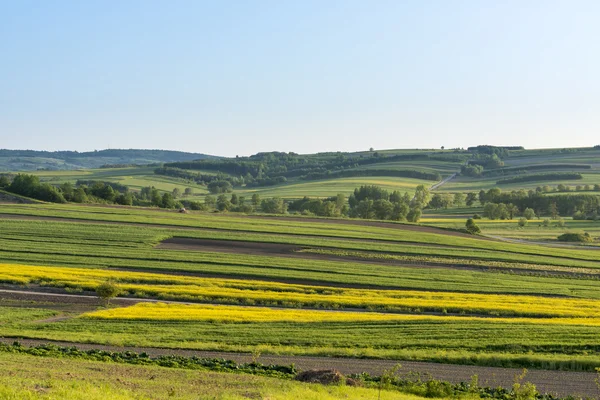 Польська сільській місцевості краєвид — стокове фото