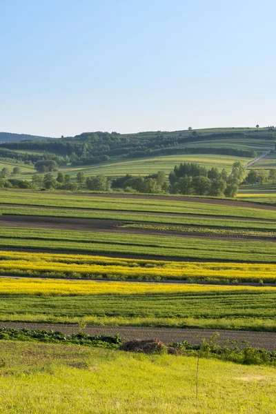 Польська сільській місцевості краєвид — стокове фото