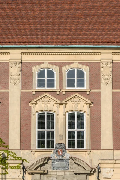 Windows Polonya Lancut Sarayı — Stok fotoğraf