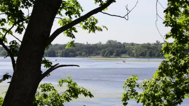 Bateaux à moteur sur le lac Zalew Zegrzynski en Pologne — Video