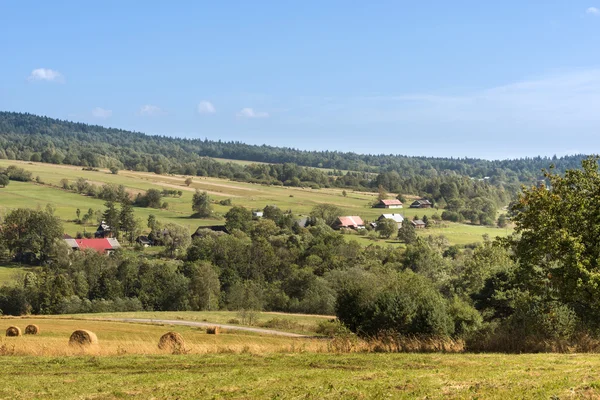 Summer Polish landscape in Sudety mountains — Stock Photo, Image