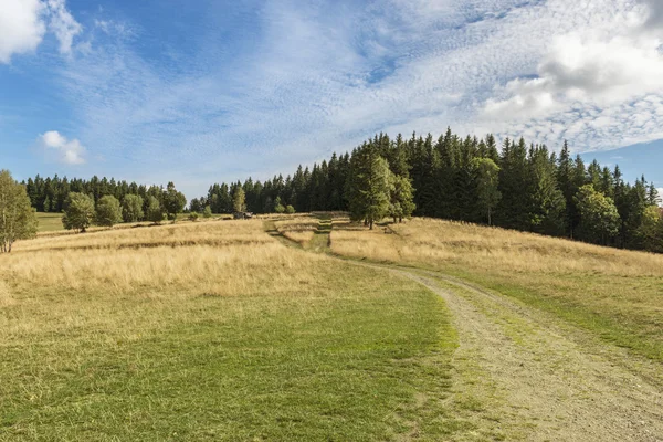 Sommar polska landskap i Sudety bergen — Stockfoto