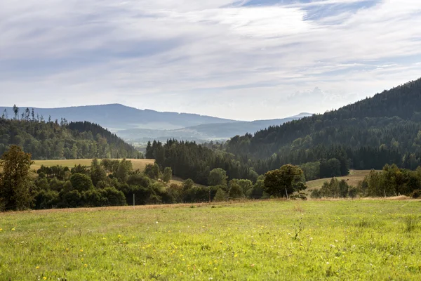 Sommerliche polnische Landschaft im Sudetengebirge — Stockfoto