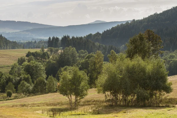 Sommerliche polnische Landschaft im Sudetengebirge — Stockfoto