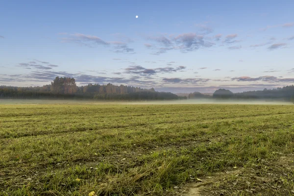 Misty morning in Kruszyniany, Poland — Stock Photo, Image