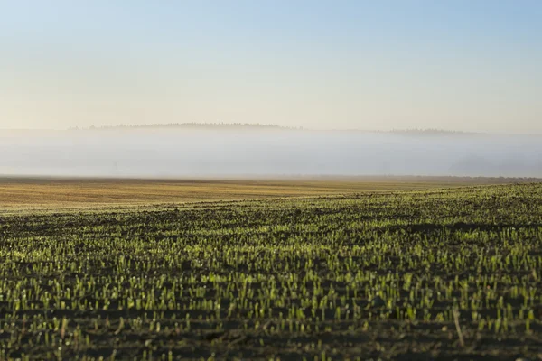 Misty paisaje matutino en Polonia — Foto de Stock