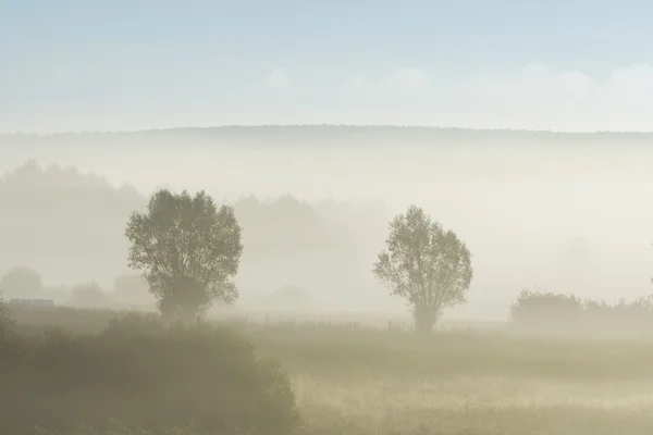 Foggy matin à l'heure d'automne en Pologne — Photo